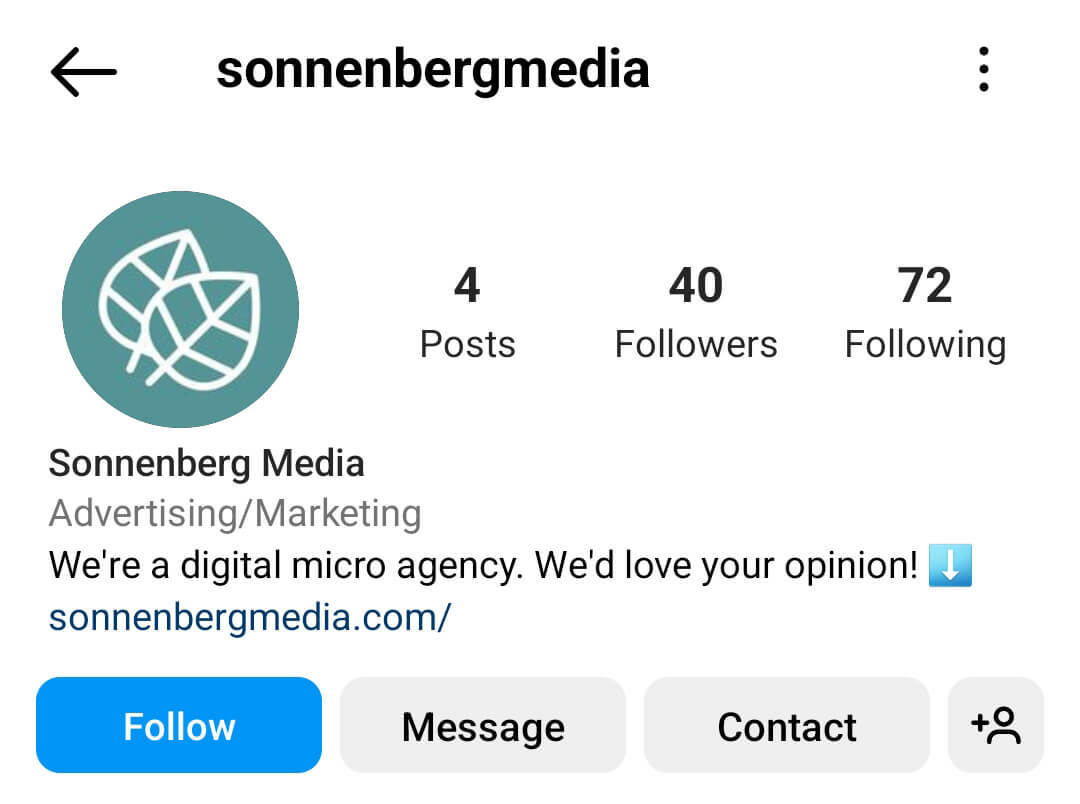 instagram takipçilerinize-gönderiler-pazar-araştırma-anket-bağlantısı-doğrudan-ig-bio-sonnenbergmedia-example-13'te-nasıl-sorulur