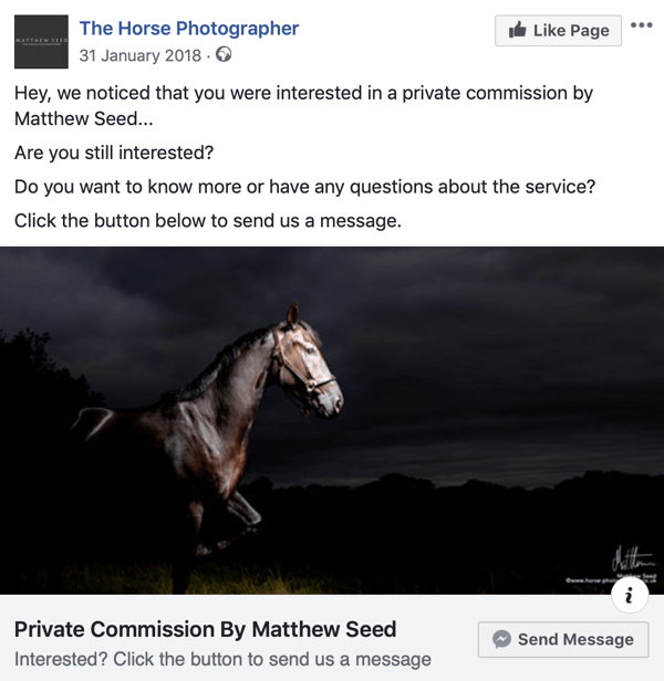 Facebook Messenger reklamlarıyla web sitesi ziyaretçilerini dönüştürme, 3. adım, The Horse Photographer tarafından yayın örneği