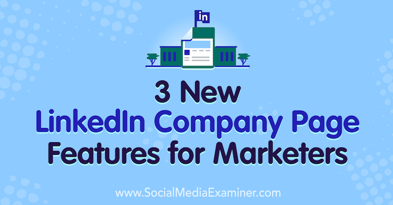 Pazarlamacılar için 3 Yeni LinkedIn Şirket Sayfası Özelliği, Louise Brogan'ın Sosyal Medya Denetçisi.
