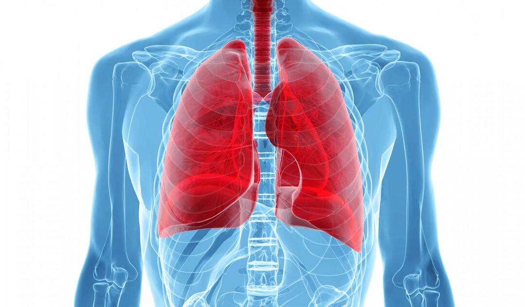 Beyaz Akciğer Sendromu nedir ve belirtileri nelerdir? Beyaz Akciğer Sendromu tedavisi nedir?