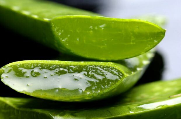 Aloe Vera nedir? Cilde faydaları nelerdir? Aloe Vera cilde nasıl sürülür?