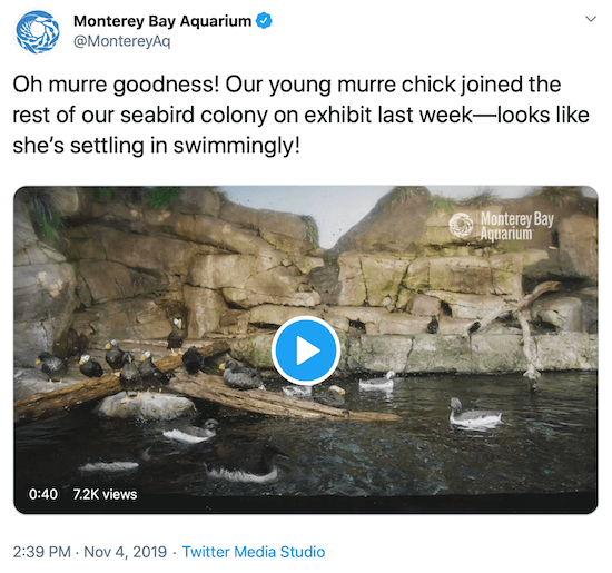Bir markanın sosyal medya sesine örnek olarak Monterey Bay Aquarium'dan tweet atın