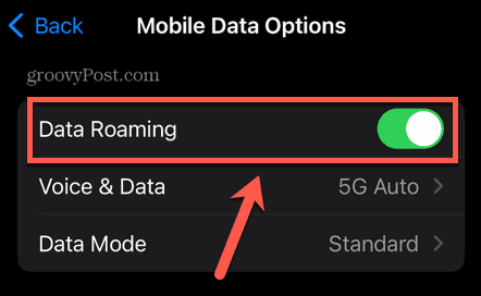 iphone veri dolaşımı geçiş anahtarı