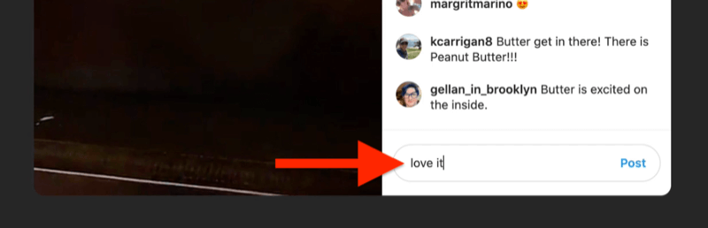 xscreenshot yorum kutusu vurgulanmış ve 'seviyorum' diyen bir izleyici tarafından doldurulmuş canlı bir instagram örneği