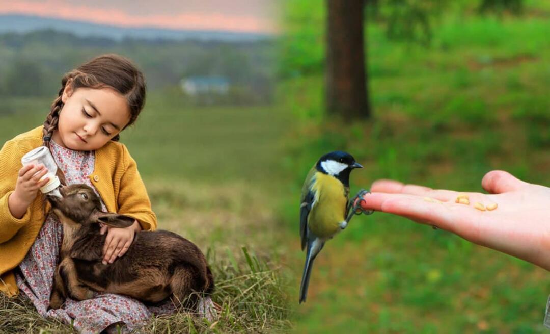 En'am Suresi'nin 38. ayeti ne anlatıyor? En'am Suresi'nin okunuşu ve Türkçe anlamı...