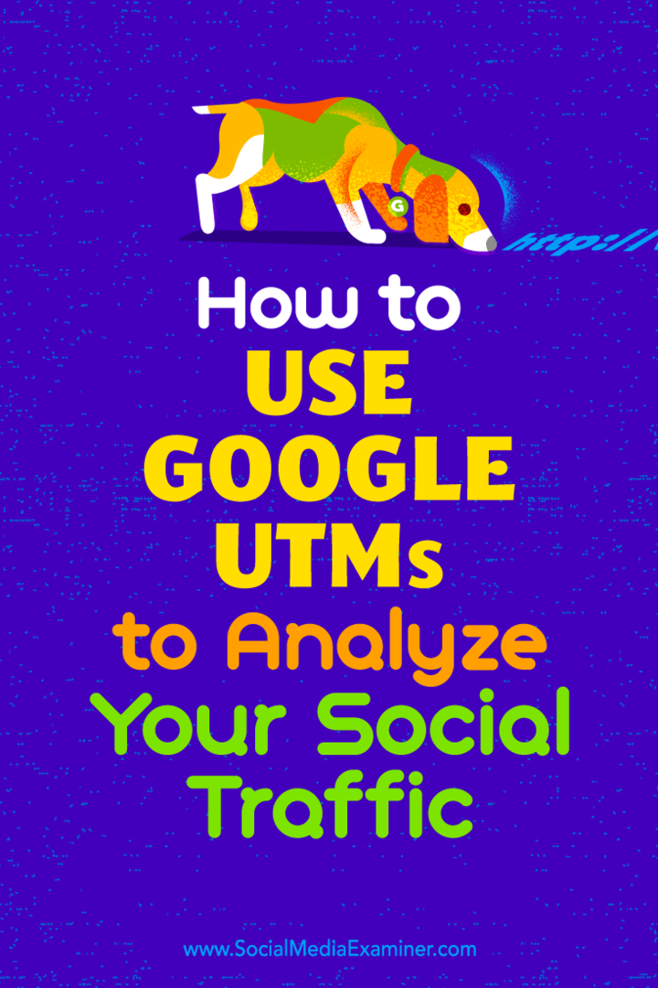 Sosyal Medya Examiner'da Tammy Cannon'dan Sosyal Trafiğinizi Analiz Etmek için Google UTM'leri Nasıl Kullanılır.