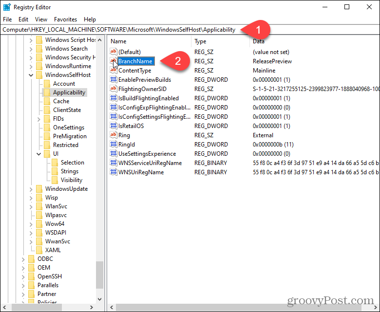 Windows kayıt defterinde BranchName anahtarına çift tıklayın