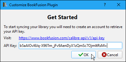 Calibre'deki BookFusion Eklentisini Özelleştir iletişim kutusuna API Anahtarını girin