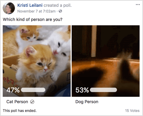 Facebook gif anket sonuçları