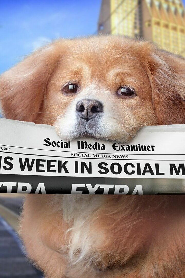Facebook Live, İzleyici Hedeflemeyi Başlatıyor: Sosyal Medyada Bu Hafta: Sosyal Medya Denetçisi