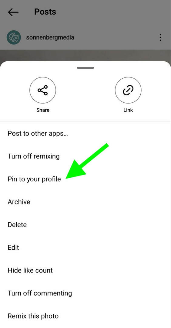 nasıl yapılır-instagram-pin-posts-profil-ızgara-sonnenbergmedia-adım-1