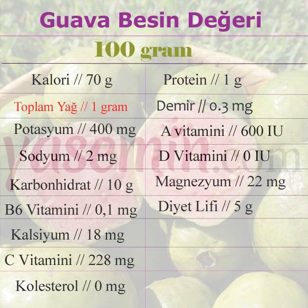 guava besin değeri
