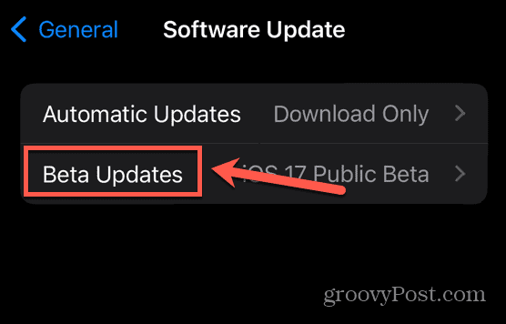 iphone beta güncellemeleri
