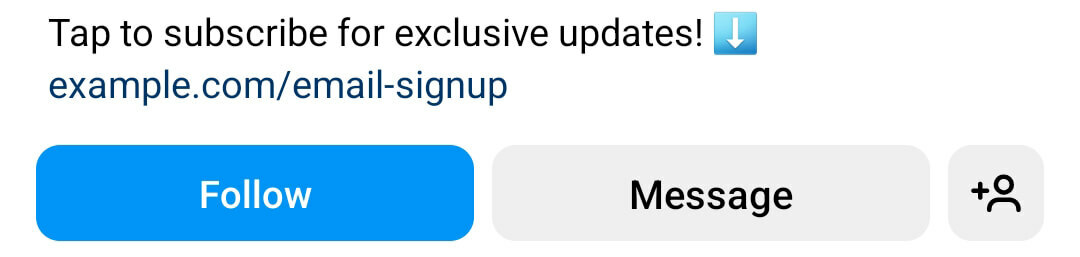 instagram-bio-direct-link-input-url-isteğe bağlı-başlık-harekete geçirici mesaj-cta-takip-örnek- 2