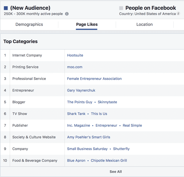 Facebook Reklam Yöneticisi'nde ilgi alanına dayalı bir kitle için Sayfa Beğenileri.