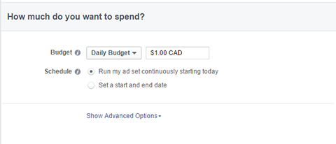 facebook reklamları için bütçe seçenekleri