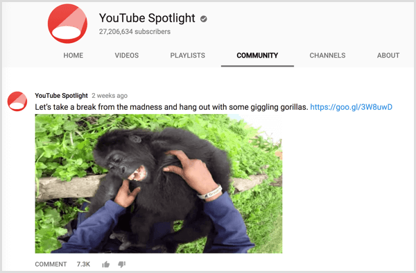YouTube kanalı Topluluk sekmesi yayını