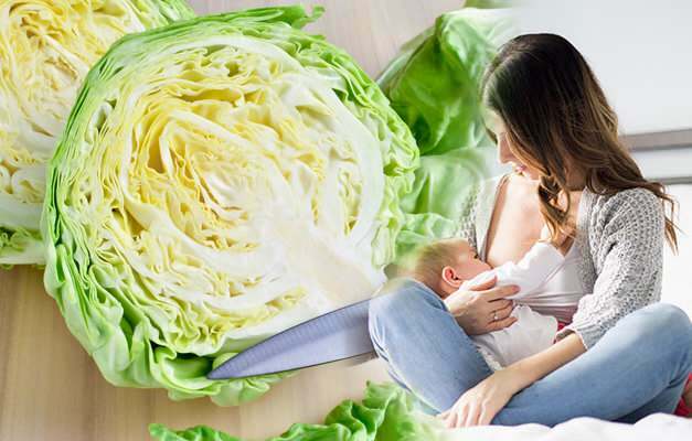 Emziren anneler lahana suyu içebilir mi? Lahana bebekte gaz yapar mı?