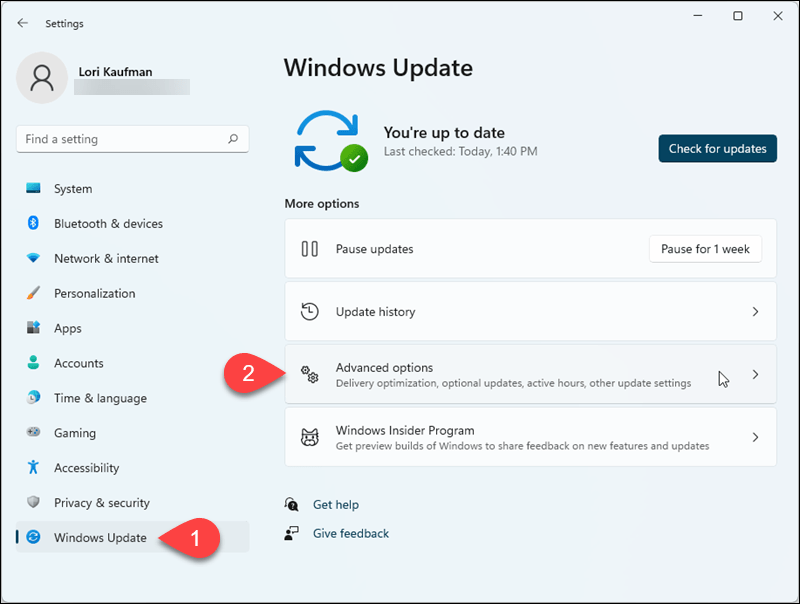 Windows 11 Ayarlarında Windows Update > Gelişmiş seçenekler'e gidin