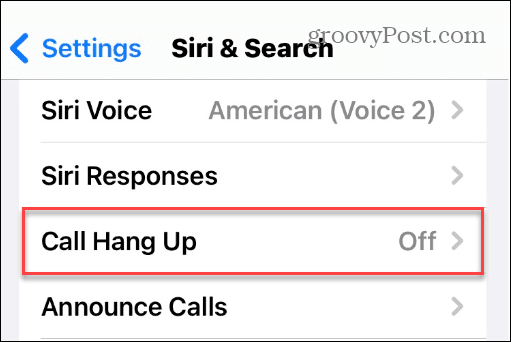 Siri ile Telefon ve FaceTime Aramalarını Kapatın