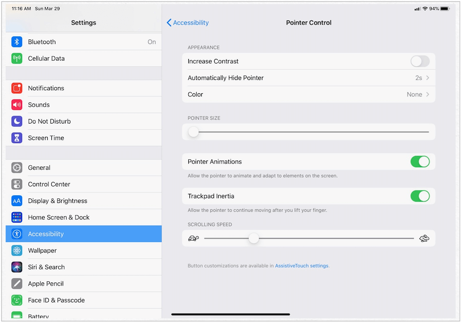 iPad Pointer Kontrolü