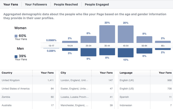 Facebook Insights kitle demografi verileri.
