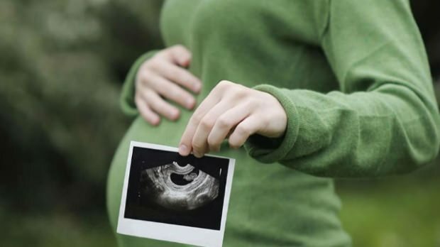 Bebeklerde ilk hangi organ gelişir? Hafta hafta bebek gelişimi