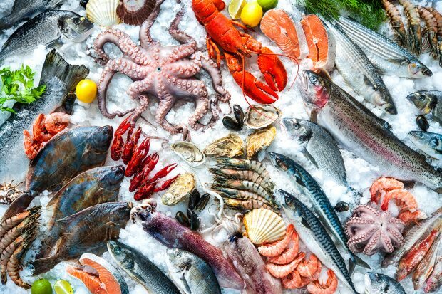 deniz ürünleri ve dondurulmuş gıdalara dikkat!