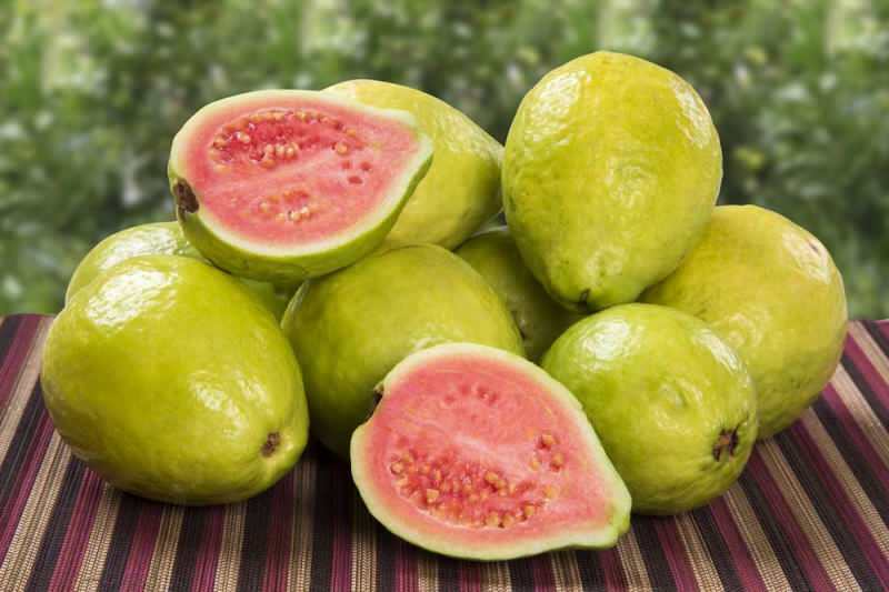 Guava meyvesi nedir? Guava meyvesi nasıl yenir ve faydaları nelerdir?