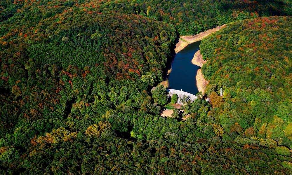 Belgrad Ormanı