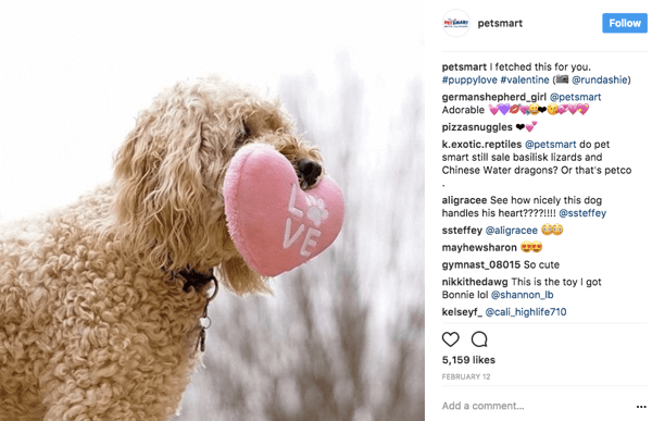 PetSmart, Instagram'da kullanıcı fotoğraflarını yeniden paylaştığında, başlıktaki orijinal postere fotoğraf kredisi verir.