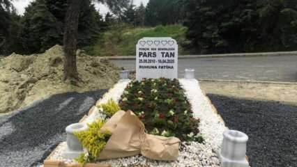 Ebru Şallı'dan oğlu Pars'ın mezarına ziyaret! Pars Tan'ın hastalığı Lenfoma nedir?