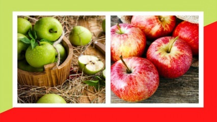 Yeşil ve kırmızı elma kilo aldırır mı? Ödem atan yeşil elma detoksu ile zayıflama