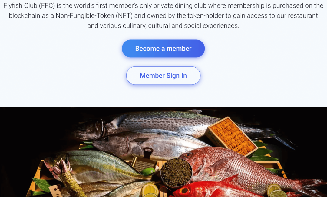 flyfish-web3-yemek-kulübü