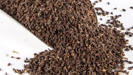 Üzerlik tohumunun faydaları nelerdir? Üzerlik tohumunun çayı nasıl yapılır?