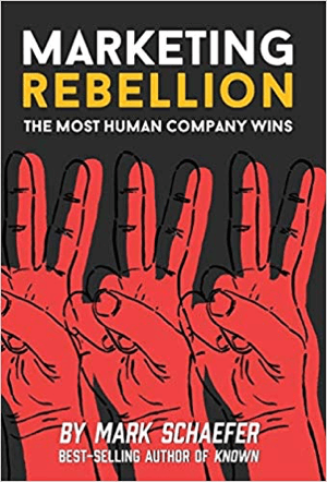 Pazarlama İsyanı: En İnsan Şirketi Kazandı Mark Schaefer tarafından yazılmıştır.