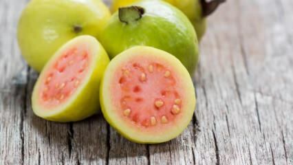 Guava meyvesi nedir? Faydaları nelerdir?