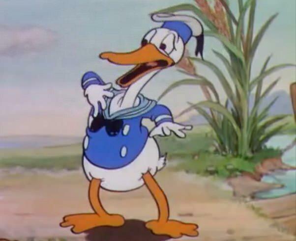 donald duck