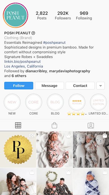 İşletmeler için optimize edilmiş biyo Instagram örneği