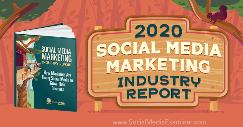 2020 Sosyal Medya Pazarlama Sektörü Raporu, Michael Stelzner tarafından Sosyal Medya Denetçisi.