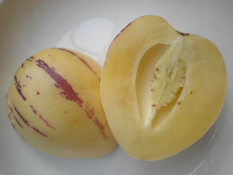 pepino meyvesi görüntü olarak kavuna benzer dilimlenerek yenir