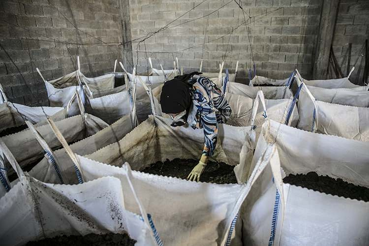 Evinin bodrumunda beslediği solucanlardan yıllık 12 ton gübre üretiyor