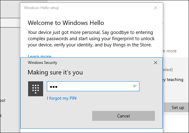 2 PIN Windows Hello Parmak İzi