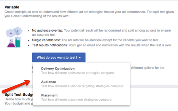 Facebook kampanyanızda hangi değişkeni test edeceğinizi seçin.