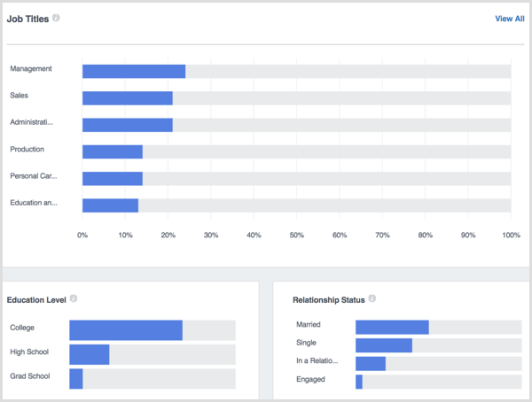 Facebook Analytics Kişi Demografisi