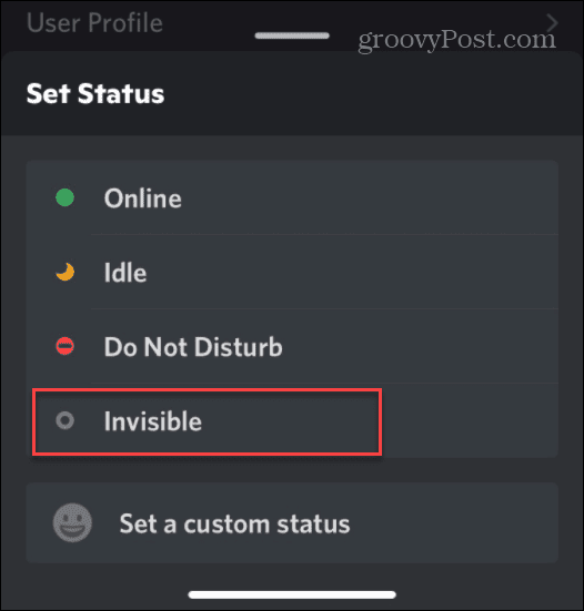 Discord'da çevrimdışı görün