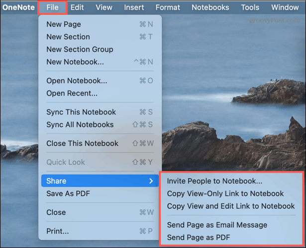 Mac'te OneNote'ta paylaşma seçenekleri