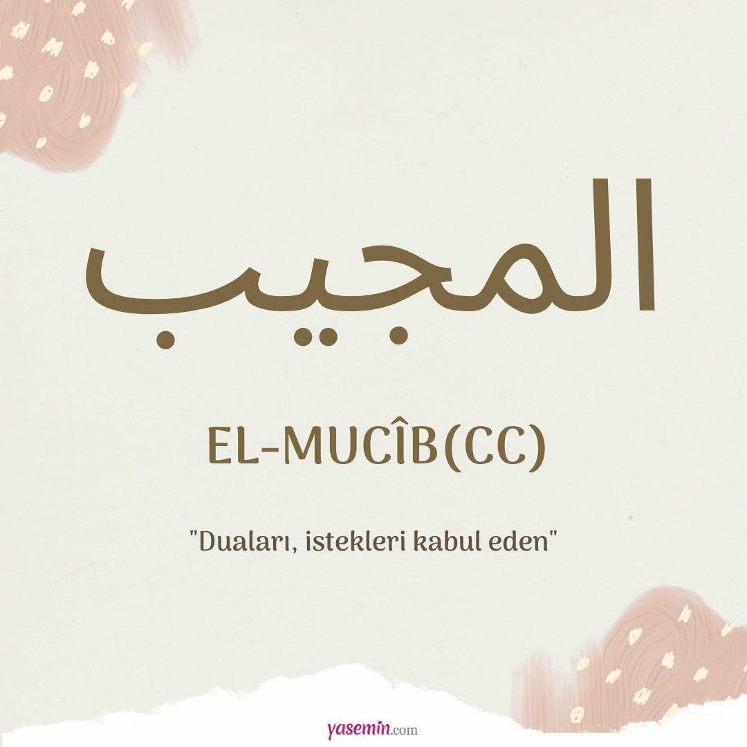 Esma-ül Hüsna'dan El-Mucib (cc) ne demektir? Neden El-Mucib zikri yapılır?