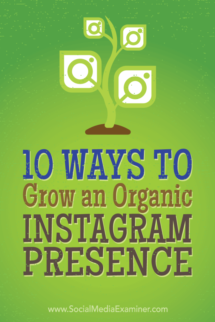 Organik Instagram Varlığını Geliştirmenin 10 Yolu: Sosyal Medya Denetçisi