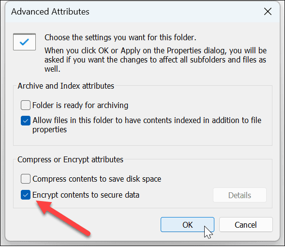 Windows 11'de Dosyaları ve Klasörü Şifreleyin